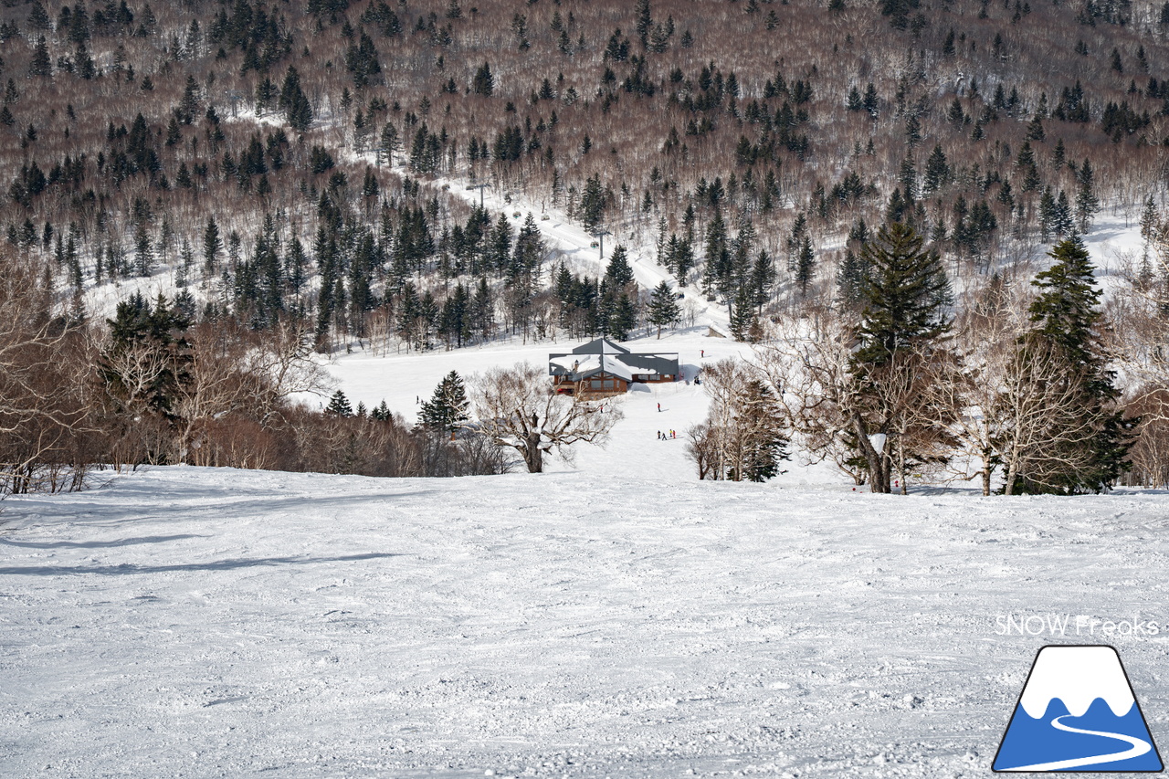 キロロリゾート｜今日の山頂積雪は「340cm」！ビシッと締まったロングコースで快適クルージングが楽しい１日♪